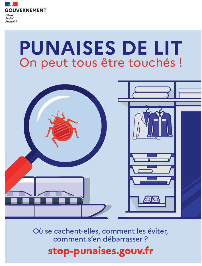 Tout savoir sur les punaises de lit