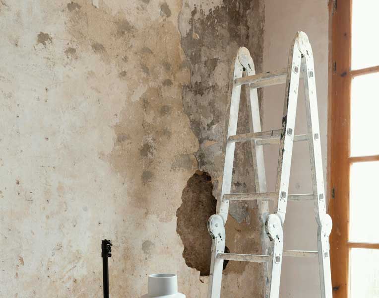 Problèmes d’humidité et de moisissures dans les logements