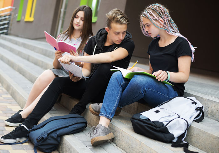 Etudiants cherchent un logement Rennes - CROUS